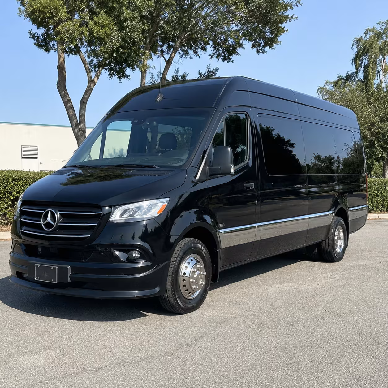 sprinter van with driver